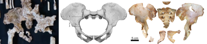 Screen Shot 2017-12-08 at 3.28.27 PM