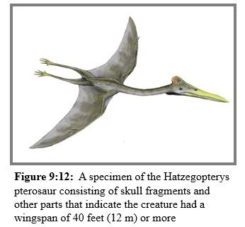 A Pterosaur